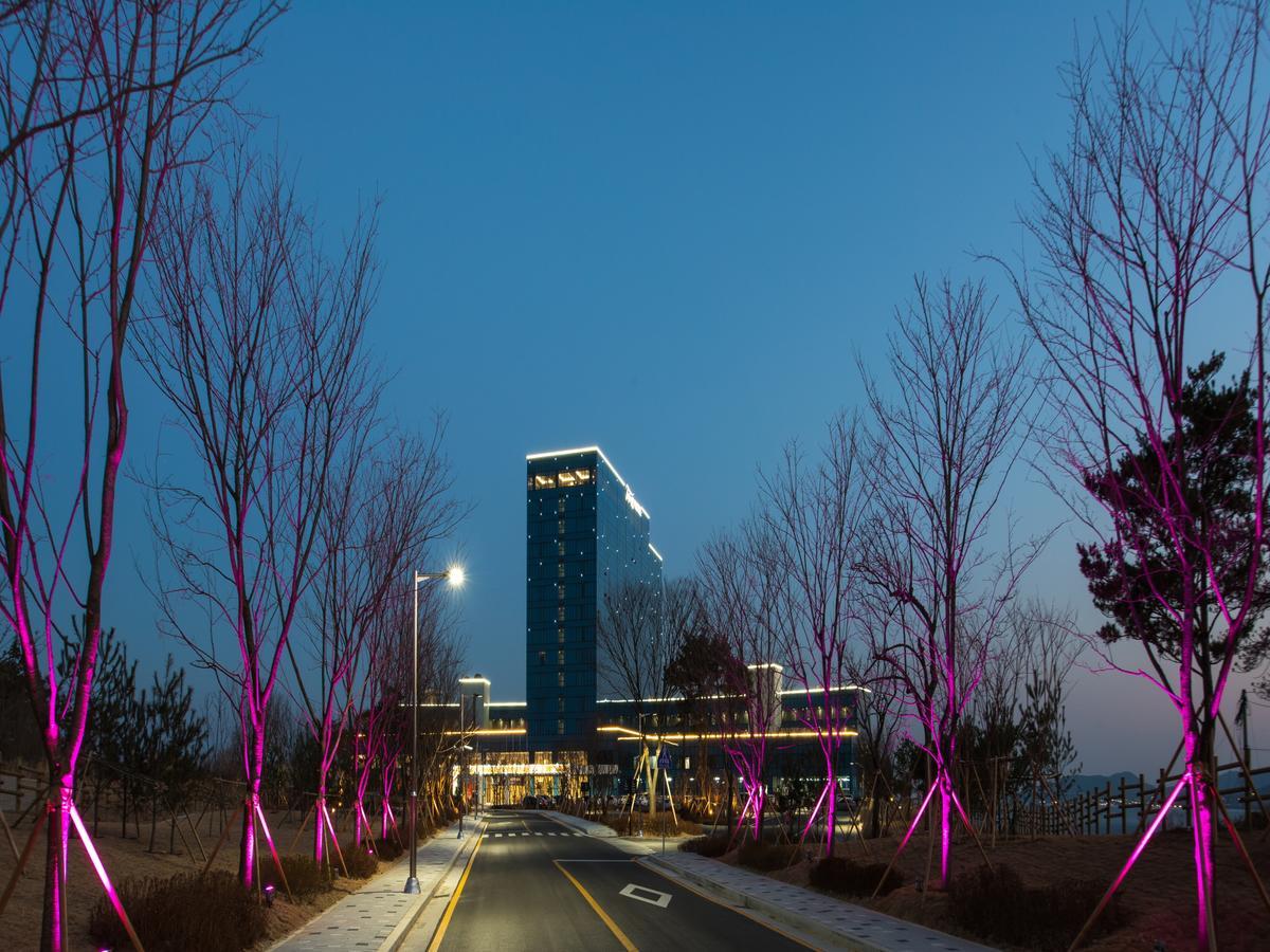 Tops 10 Gangneung